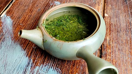 Comment préparer le thé japonais - OCHAYA maison des thés